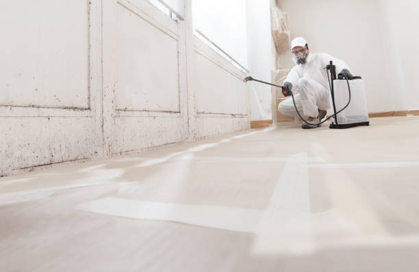 24/7 Emergency Mold Remediation experts in Sharon, MA