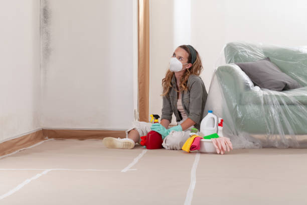 Reliable Mold Remediation contractor in Sharon, MA by Cheap Mold Removal